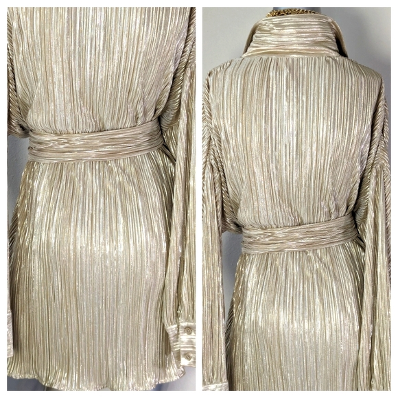 Golden Champagne Shimmery Accordion Pleated Belted Earth Girl "BOHO" Shirt Dress - Picture 11 of 12